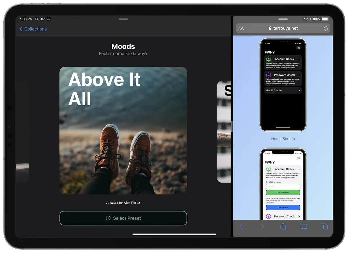 Split Screen Support